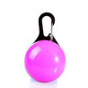 Pet Collar Safety Light
