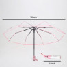 Automatic Transparent Umbrella