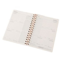Metallic Notebook