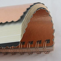 Metallic Notebook