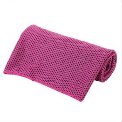 Sport Cool Towel