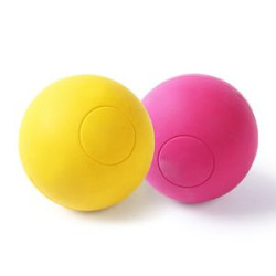 Durable Dog Chewing Ball