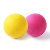 Durable Dog Chewing Ball