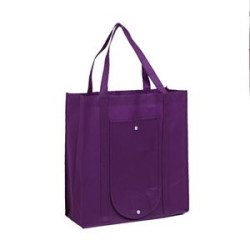 Foldable Non-Wowen Bag