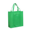 Foldable Non-Wowen Bag