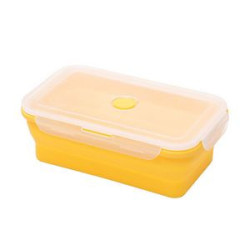 20 OZ Silicone Collapsible Lunch Box