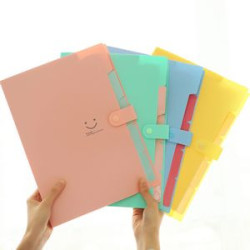 Expanding File Folder 5 Pockets