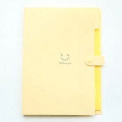 Expanding File Folder 5 Pockets