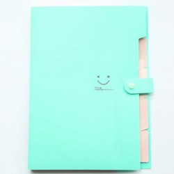 Expanding File Folder 5 Pockets