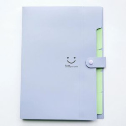 Expanding File Folder 5 Pockets