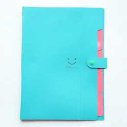 Expanding File Folder 5 Pockets