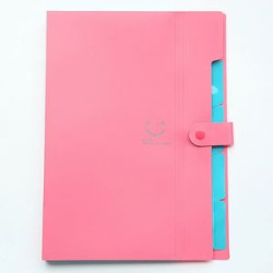Expanding File Folder 5 Pockets