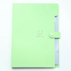 Expanding File Folder 5 Pockets