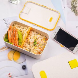 Eco friendly Portable Lunch Box With Phone Holder