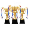 Metal Award Trophy