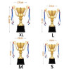 Metal Award Trophy