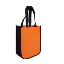 Laminated Fashion Tote