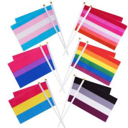 Hand Held Rainbow Flags