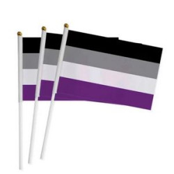 Hand Held Rainbow Flags
