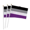 Hand Held Rainbow Flags