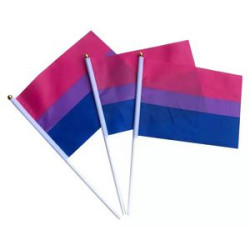 Hand Held Rainbow Flags