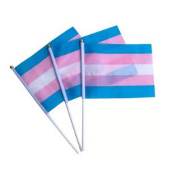 Hand Held Rainbow Flags