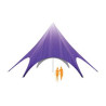 52' Sky Star Tent With Full Dye Sub Printed Polyester Top
