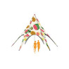 40' Sky Star Tent With Full Dye Sub Printed Polyester Top