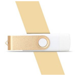 8gn Dual Input Flash Drive