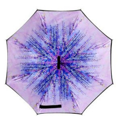 Reverse Inverted Umbrella