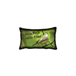 Custom Throw Pillow Cover 16" x 12"
