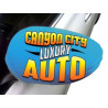 Auto Mirror Cover - Medium