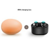 IPX6 Waterproof Touch Control TWS Bluetooth Earphone With Magnetic Cover And Mini Size