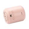 Mini Wireless Speakers