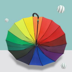 Rainbow Design Umbrella