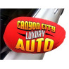 Auto Mirror Cover - Large