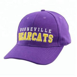 Custom Cotton 6 Panel Baseball Cap