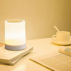 Bluetooth Speaker with LED Lights