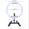 14" Desktop LED Ring Light