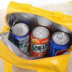 Insulated Lunch Bag