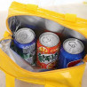 Insulated Lunch Bag