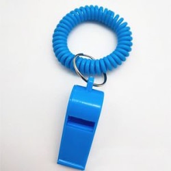 Whistle Keychain