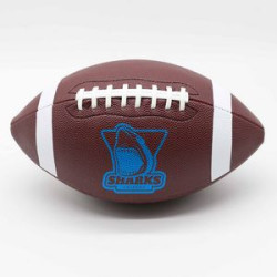 Custom Composite Leather Football - 14" Size