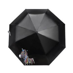 Magic Water Activated Color Umbrella