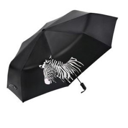 Magic Water Activated Color Umbrella