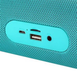 Big Portable Wireless Speaker
