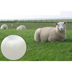 Custom Woven 85% Merino Wool Socks