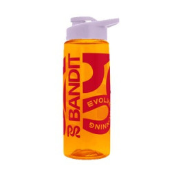 Transparent Orange Lilac Screen Print