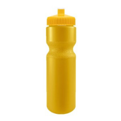 SPOKE-Tacular 28oz Bike Bottle - Colors w/Push-Pull Lid