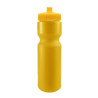 SPOKE-Tacular 28oz Bike Bottle - Colors w/Push-Pull Lid